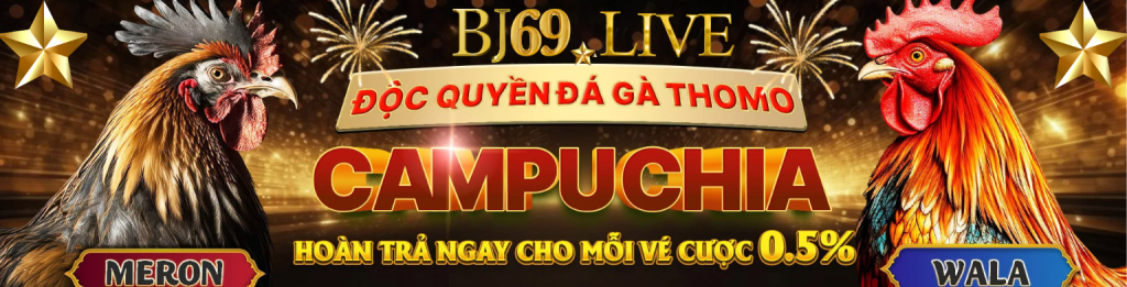 Banner Bj69