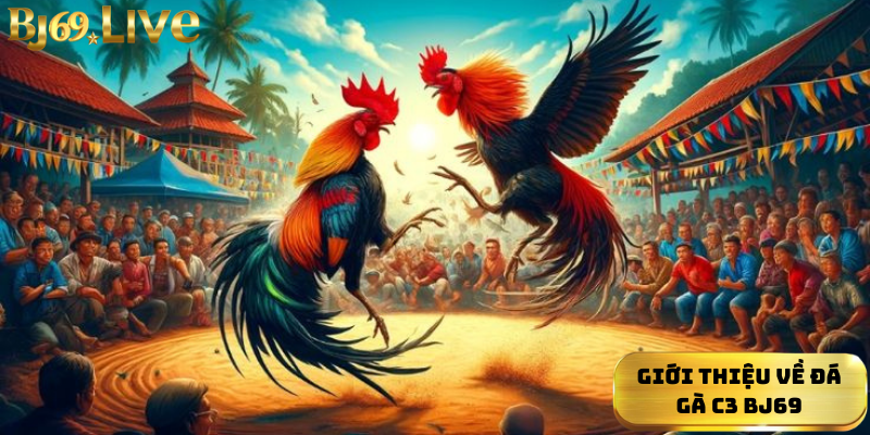 Giới thiệu về đá gà C3 Bj69 Giới thiệu về đá gà C3 Bj69