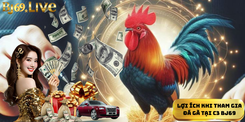 Lợi ích khi tham gia đá gà tại C3 Bj69 Lợi ích khi tham gia đá gà tại C3 Bj69