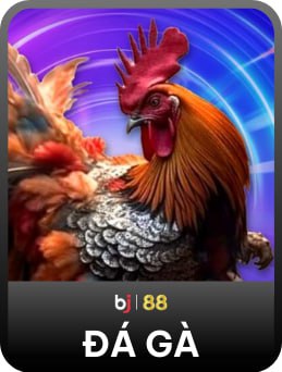Đá gà Bj88